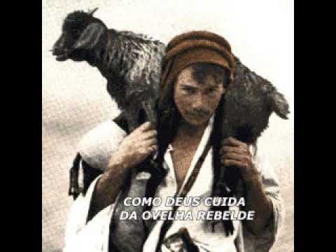 COMO DEUS CUIDA DA OVELHA REBELDE   ( UMA LINDA REFLEXÃO DE VIDA )