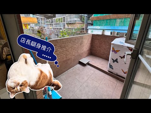 必发楼 Youtube Video