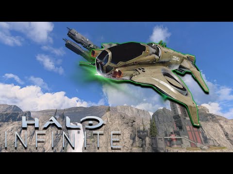 Hilarious Wasp Glitch in Halo Infinite!