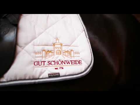 Follow Him's Schönweide