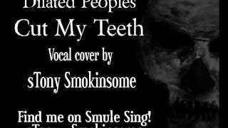 sTonyReDub - Dilated Peoples - Cut My Teeth - Karaoke - Cover - Stony Smokinsome