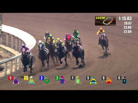 25/9/2022 (37) Woodfire Bro - Derek Leung