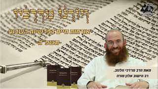 לחבק את הכאב | פרשת ואתחנן | ויורנו מדרכיו תשפ"ה | הרב מרדכי וולנוב | 33 (ישיבת ברכת יוסף - אלון מורה) - התמונה מוצגת ישירות מתוך אתר האינטרנט יוטיוב. זכויות היוצרים בתמונה שייכות ליוצרה. קישור קרדיט למקור התוכן נמצא בתוך דף הסרטון לחבק את הכאב | פרשת ואתחנן | ויורנו מדרכיו תשפ"ה | הרב מרדכי וולנוב | 33 (ישיבת ברכת יוסף - אלון מורה) - התמונה מוצגת ישירות מתוך אתר האינטרנט יוטיוב. זכויות היוצרים בתמונה שייכות ליוצרה. קישור קרדיט למקור התוכן נמצא בתוך דף הסרטון