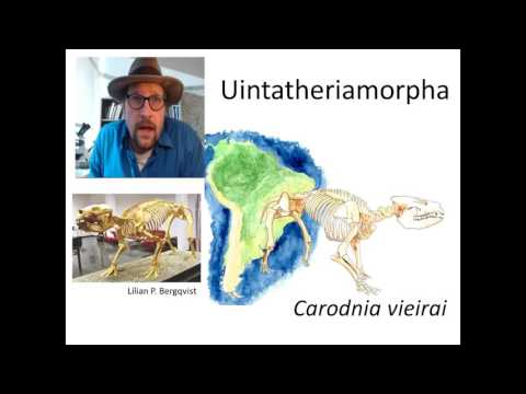 Episode 17:  Systematic position of the Uintatheres (Order Dinocerata)