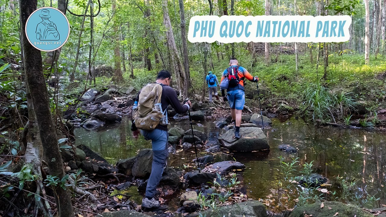 Discover a captivating peek of Phu Quoc National Park.