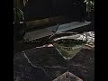 Cocktail 🍸- Tum hi ho bandhu [speed up/Nightcore]