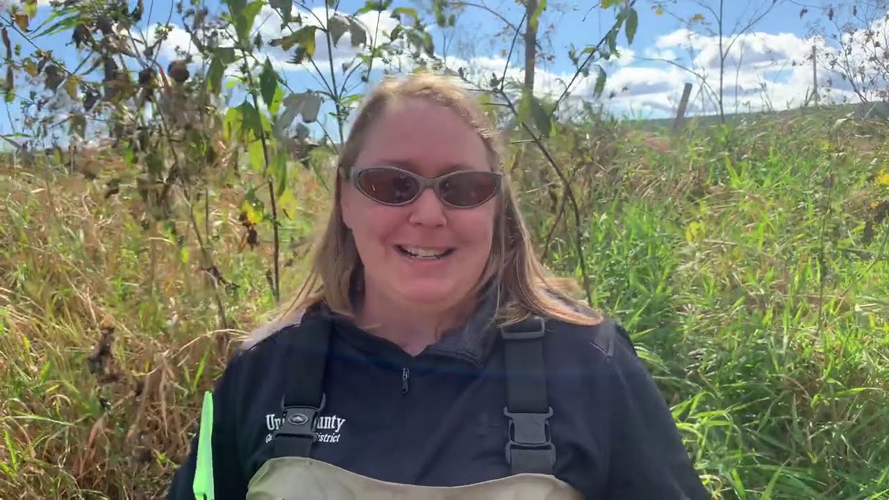 6 Nonpoint Source Pollution- Biological Stream Assessment