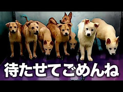 動物愛護ラベル: お金と道徳の間