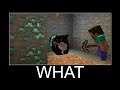 Maxwell The Cat In Minecraft Wait What Meme Part 132