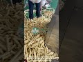 Video：Jinan Eagle  Puffed Corn Bar Production Line