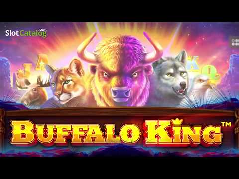 Buffalo King Pragmatic Play gameplay video