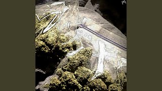 Pocket Full of Money #Screwed