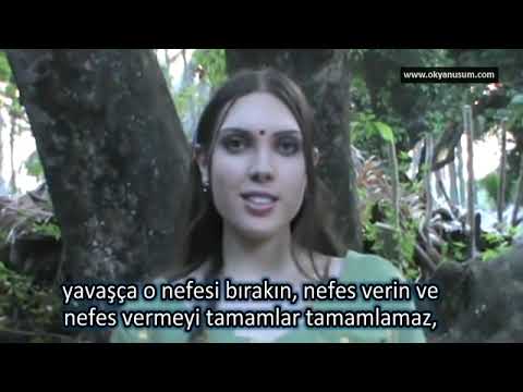 PİNEAL BEZİNİZİN KİRECİNİ ÇIKARIN! ajna çakra, epifiz bezi ve dimetil triptamin 06.03.2013