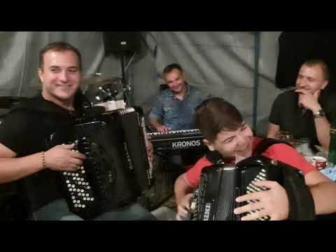 Aca Antić & "Lavovi"  - Drenovac🍷