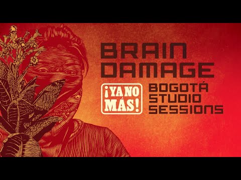 Brain Damage : " ¡Ya no más! "  (album teaser)
