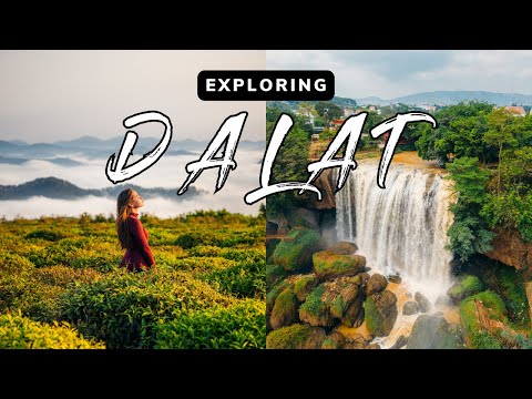 Why You NEED To Visit Dalat Vietnam 🇻🇳 // Da Lat Travel Guide