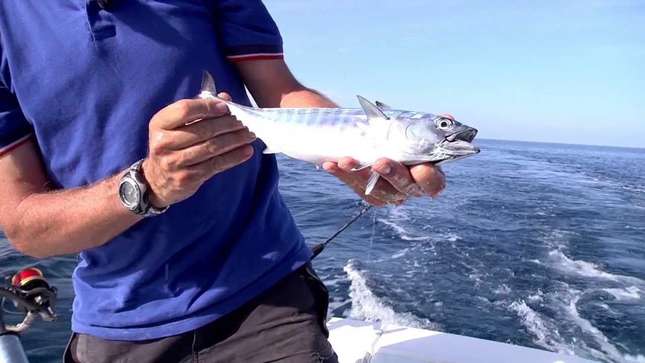 Italian Fishing TV - Tubertini  - Traina Leggera