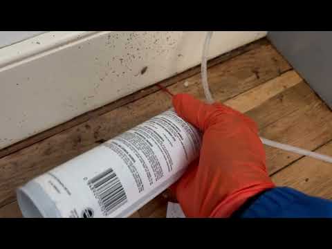 Cockroaches Infesting Every Inch of the Kitchen in Avon by the Sea, NJ