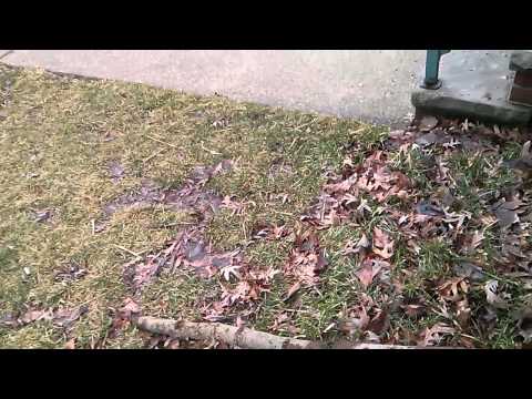 First person crossbow shooting