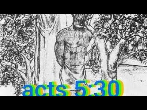 Was Jesus crucified on a cross? Or hung on a tree??