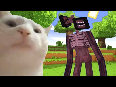 Cat is Vibing - Coffin Meme but I didn't die Part 2 - Minecraft