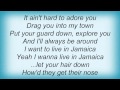 Devendra Banhart - The Good Red Road Lyrics