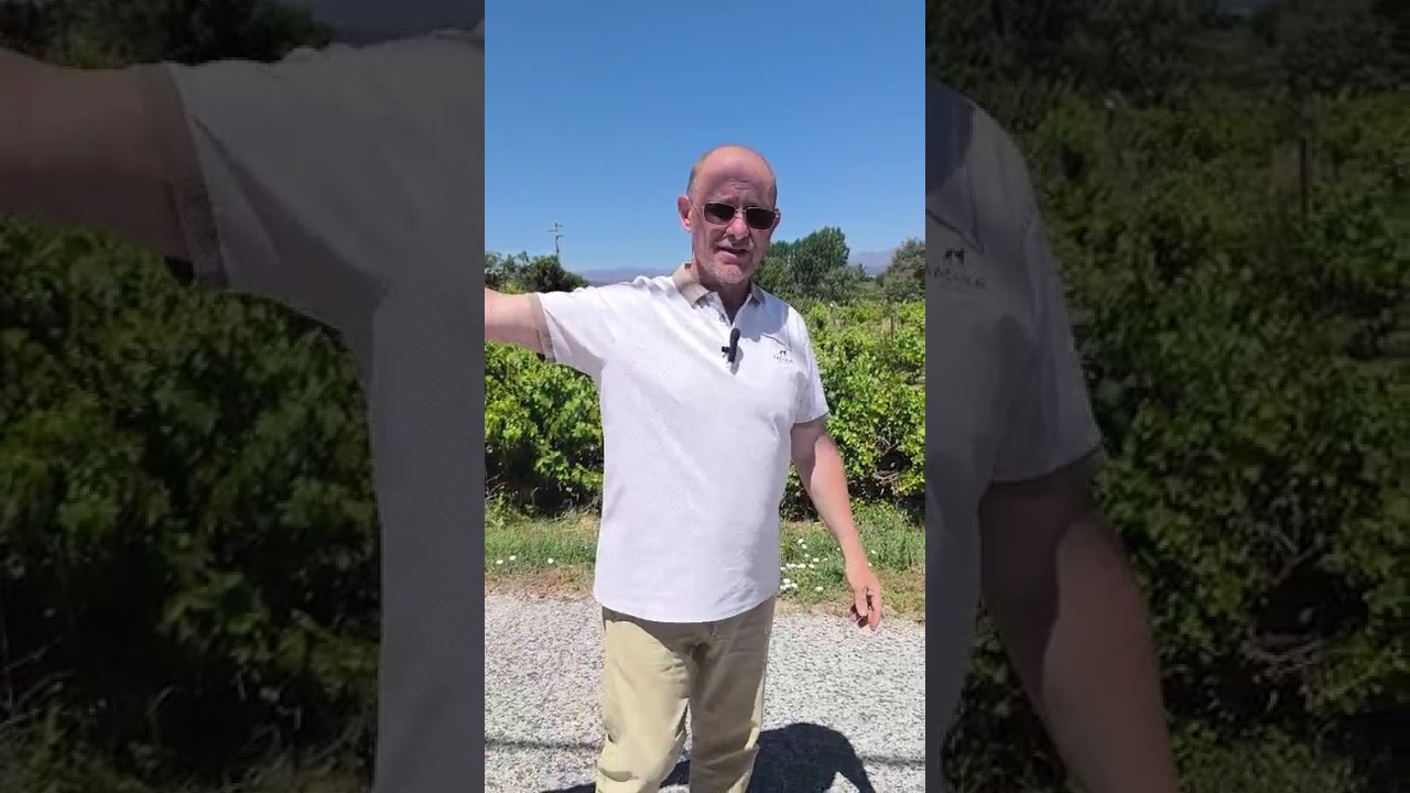 Vídeo do imóvel