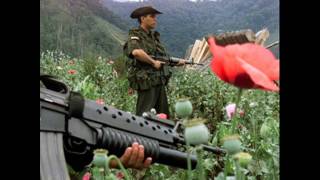 Soul Coughing Collapse LIVE IN COLORADO