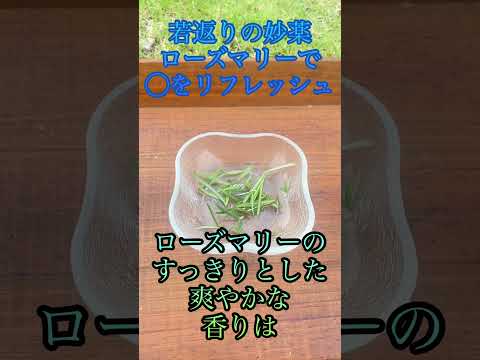 ローズマリーが白くなるのはなぜですか?この葉についている白い粉は何ですか？そして、どうすればそれを取り除くことができますか？  庭園