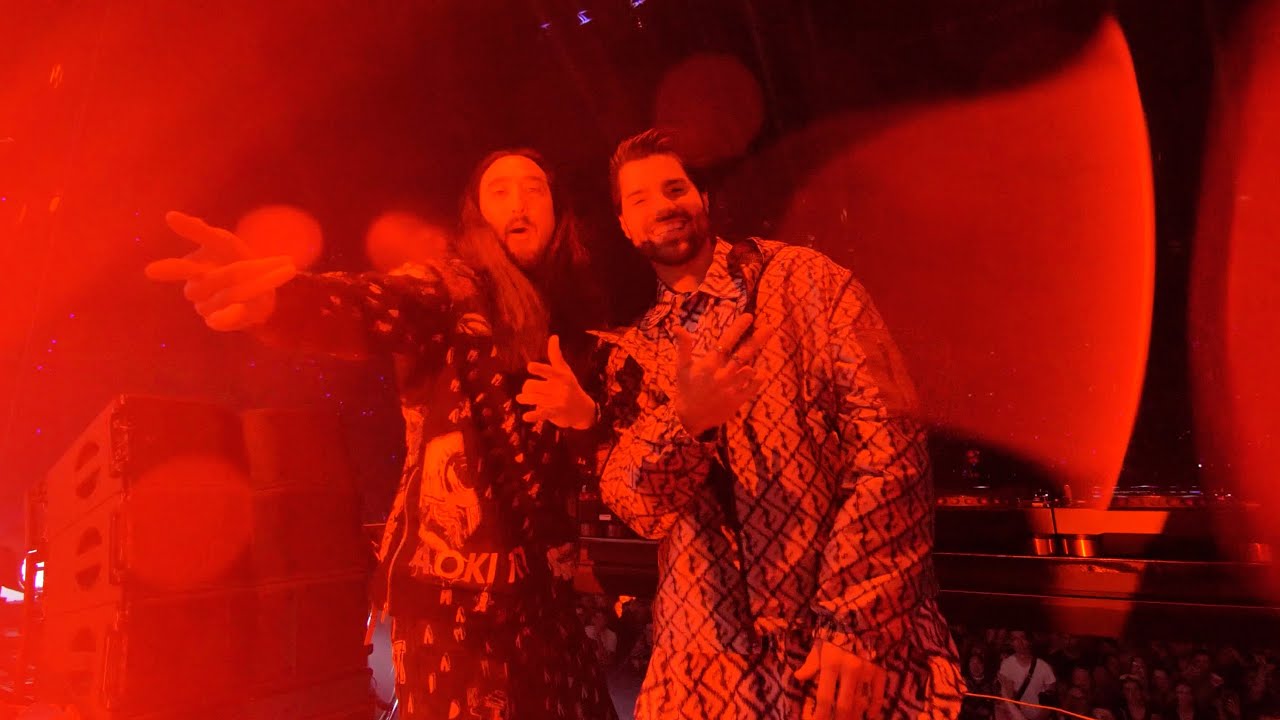 Alok & Steve Aoki — 2 Much 2 Handle