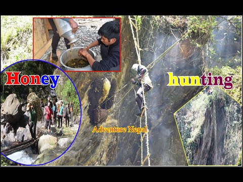 Honey hunting in Kuinemangale  | Myagdi Nepal | Honey Hunters - Full Documentary| भीरमह शिकारकाे कथा
