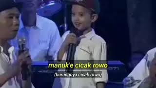 Download lagu Story WA Lucu Percil Cicak Rowo mp3