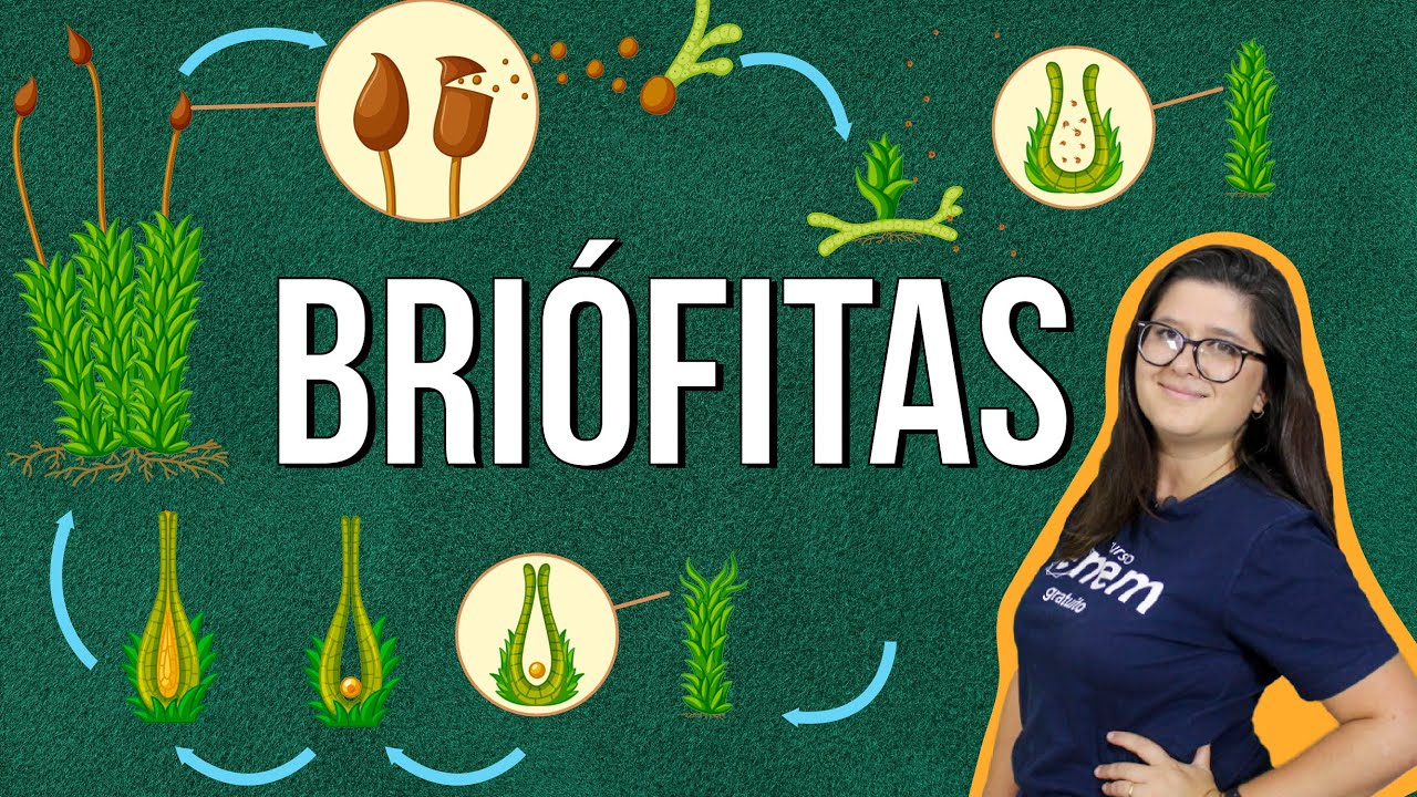 BRIÓFITAS: tipos, características e reprodução. RESUMO DE BIOLOGIA ENEM. Profe Juliana Evelyn Santos