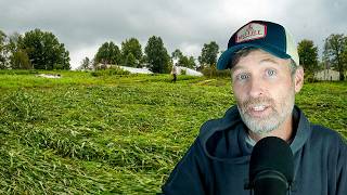 The Summer Cover Crop Show + Planting into Residue