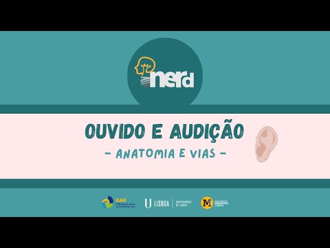 iNerd - Ouvido e Audição: Anatomia e Vias