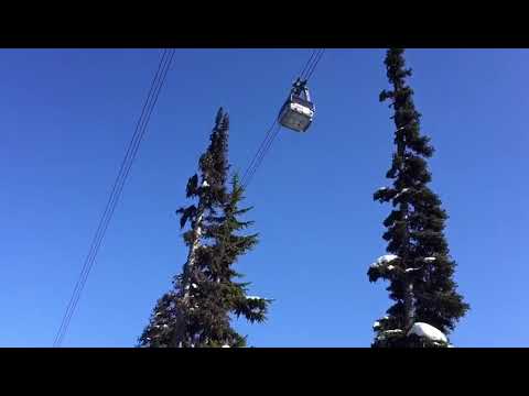 Whistler/Blackcomb Peak2Peak gondola video from awesome glades