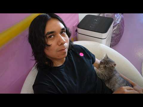 we went to a cat cafe