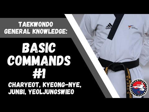 Taekwondo Terminology: Basic Commands #taekwondo