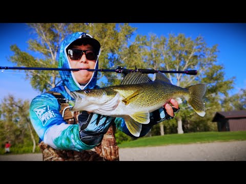 Early Summer Walleye Beach Fishing (Casting Ned Minnow)