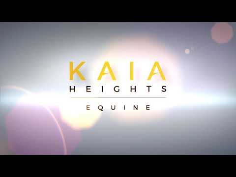 KAIA Heights Equine video