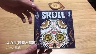 ルール動画