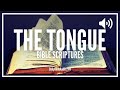 Bible Verses On Controlling The Tongue | Scriptures On The Power Of Your Tongue