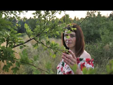 Zespół Fantazja - Za twe oczy zielone (COVER)