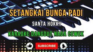 Download lagu SETANGKAI BUNGA PADI Santa Hokky KARAOKE NADA CEWEK mp3 Download lagu SETANGKAI BUNGA PADI Santa Hokky KARAOKE NADA CEWEK mp3
