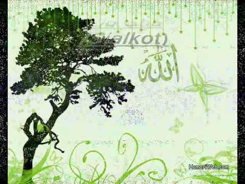 163 POUND CAKE ON MEHFIL-A-MILAD MIRZA MUQADASS