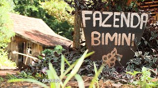 Miniatura do vídeo