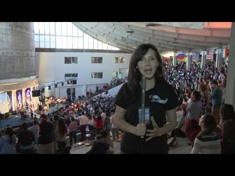 Alfa Omega TV - raport de misiune pentru anul 2013