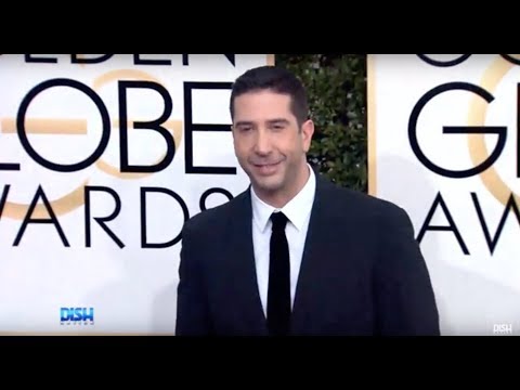 DID DAVID SCHWIMMER FORGET ABOUT THE EXISTENCE OF 'LIVING SINGLE'?