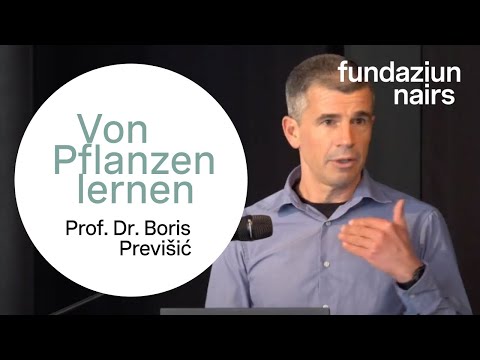 Video-Thumbnail von YouTube