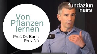 Video-Thumbnail von YouTube